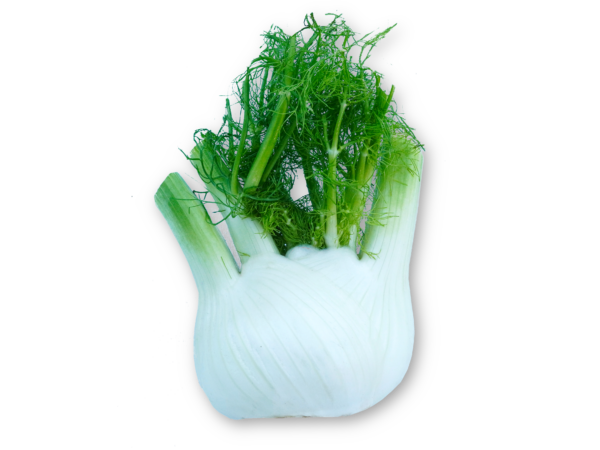 Fenchel