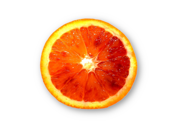 Halbblutorange